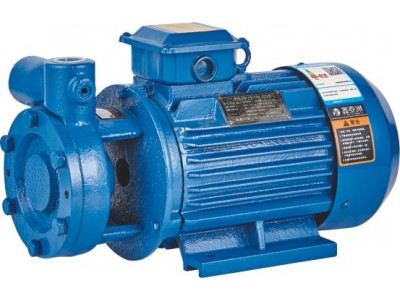 W-type screw mouth vortex pump