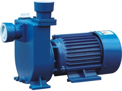 Horizontal pipeline self-priming pump