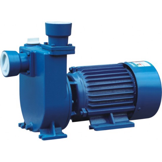 Horizontal pipeline self-priming pump